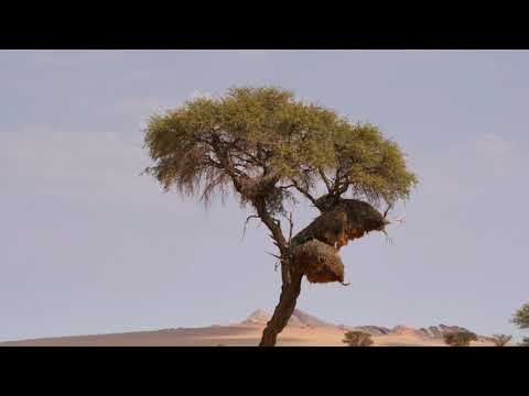 T-4-2.ch Namibia Süden Teil 1