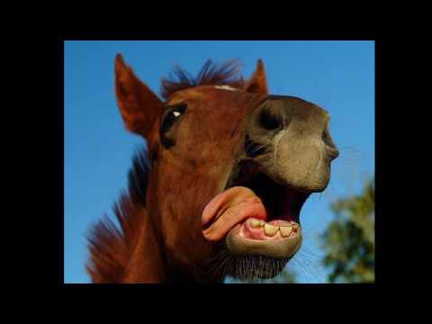 Redox - Baba z wozu NOWOŚĆ