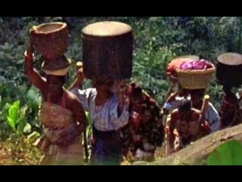 Tunde Kelani - The White Handkerchief