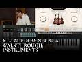 Video 3: Walkthrough 1