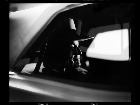 DAAN - De lichtjes van de Schelde