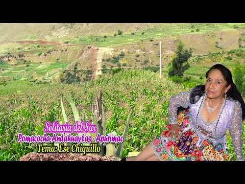 SOLITARIA DEL SUR - TEMA. ESE CHEQUILLO