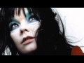 An Echo, A Stain - Bjork