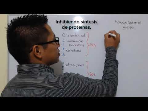 Clasificacion antibioticos rapida