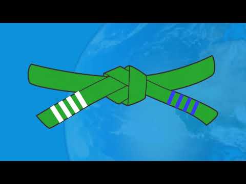 Kids Classes Program Belt System