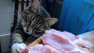ДО СЛЁЗ СМЕШНЫЕ ПРИКОЛЫ 2019/ПРИКОЛЫ ПРИКОЛЫ ПРО ЖИВОТНЫX 2019/СМЕШНЫЕ ПРИКОЛЫ С ЖИВОТНЫМИ 2019