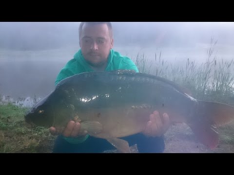 Nie tylko na komercji łowcy łowią....Karpie z PZW...