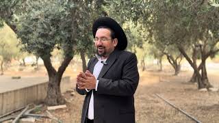 לשכנו תדרשו ובאת שמה | הרב אליהו ובר (ישיבת הר הבית) - התמונה מוצגת ישירות מתוך אתר האינטרנט יוטיוב. זכויות היוצרים בתמונה שייכות ליוצרה. קישור קרדיט למקור התוכן נמצא בתוך דף הסרטון