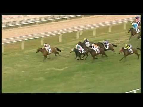 Galoppo 25/01/2020 - 2ª corsa