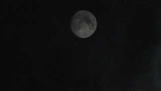 Loren Connors - The Moon Last Night