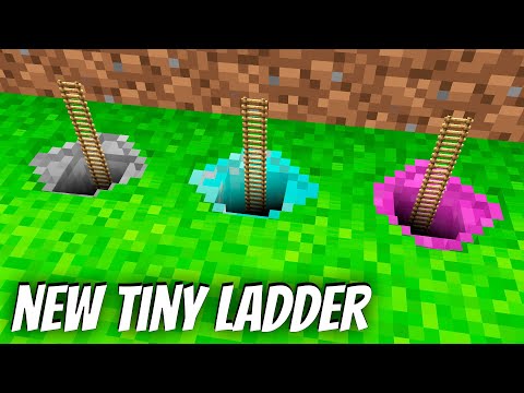 I found a NEW TINY LADDER in Minecraft ! DIAMOND TINY LADDER !