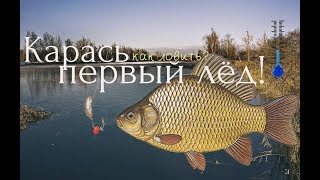 Как клюет лещ по первому льду