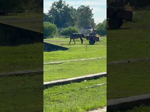 Estación del ferrocarril