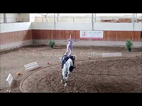 CVN Volteggio 2023 - ind 1* ch - 3° Giulia Scattolin