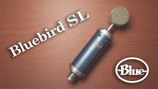 Bluebird SL 콘덴서 마이크 리뷰와 비교