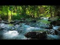Gentle River Flow and Nature’s White Noise – Serene Water Sounds to Help You Sleep Faster and Yoga