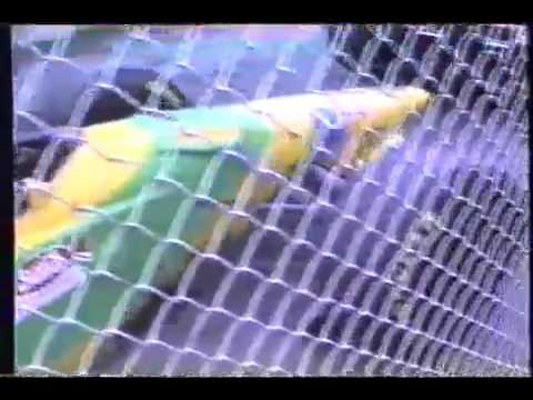 F1 1993 , Interlagos.