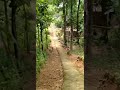 Kera Masuk Desa Lur Alfamultimedia