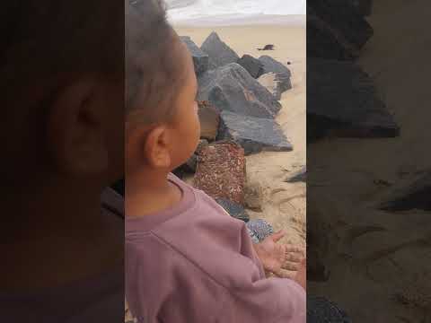 on#onte #mamane# vazak paraya# madhi# injot vann irikkn#kasaragod #nellikkunn beach ♥️hemil mon ♥️