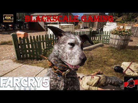 FAR CRY 5 Gameplay Walkthrough Part 9 [2160p 4K]