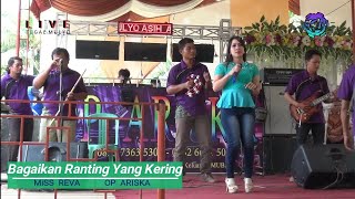 Download lagu Maghdalena Reva | OP ARISKA Live Show | Tegal Mulyo Keluang mp3 Download lagu Maghdalena Reva | OP ARISKA Live Show | Tegal Mulyo Keluang mp3