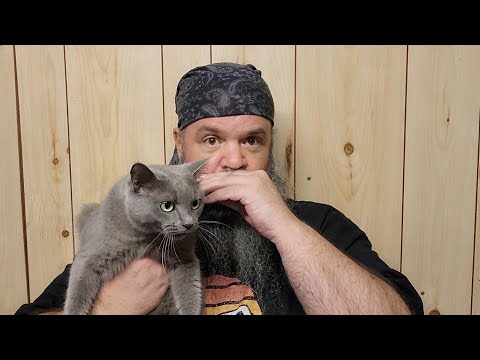 12 Bar Blues using just Hole 3 ! - Easy Harmonica Blues