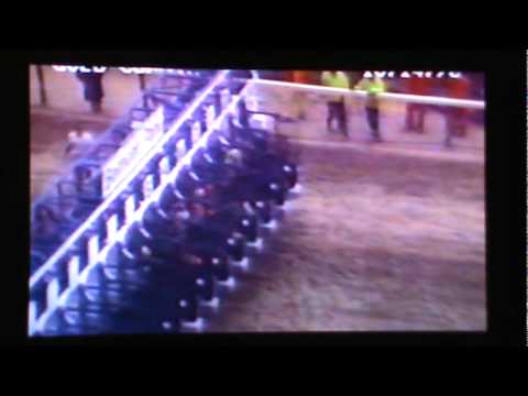 Seattle Slew, races as a four year old after his Triple Crown win