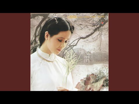 Đông về trên phố - Trang Nhung