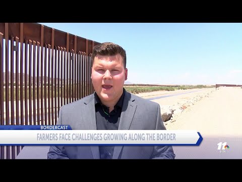 Growing along the border