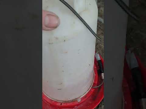 Hühner tränkenwärmer autark  12 Volt,über Solar und Batterie