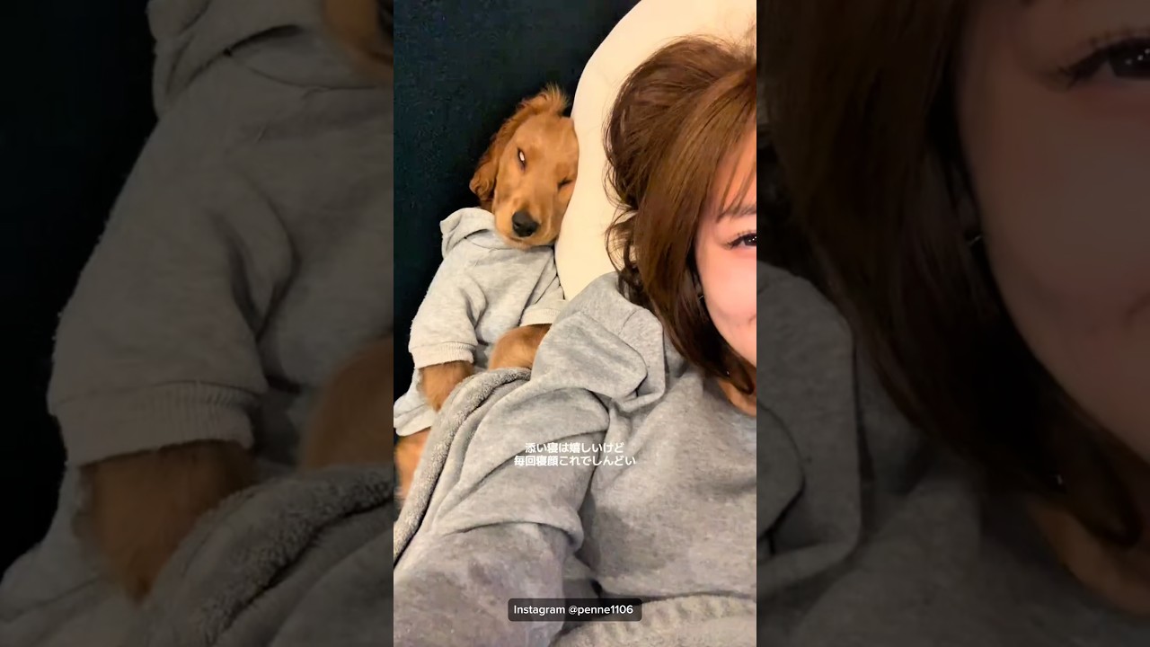 母に落花生みたいと言われた犬🐶\ Special thank you /Instagram@penne1106