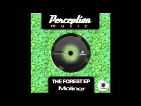 Moliner-The Forest (Original Mix)