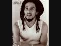 bob marley Jailhouse
