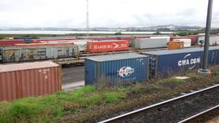 preview picture of video 'ニュージーランド貨物列車 New Zealand Freight Train'