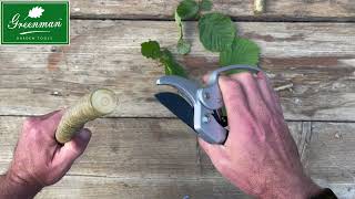 Ratchet secateurs overview 