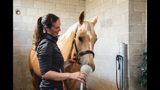 Nano CellCare therapieën bij Anne van den Eerenbeemt