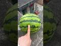 Experiment: Will the watermelon explode when it rolls down in a high-rise building?#shorts