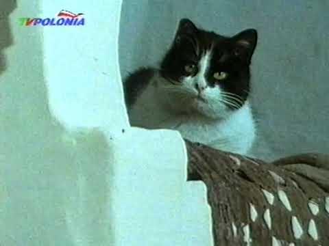 Opowieść o Puszczy Augustowskiej oraz ballada o Czarnej Hańczy