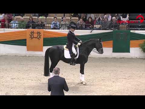 EH SINGOLO Neumünster 2017