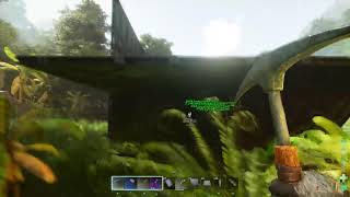 Ark