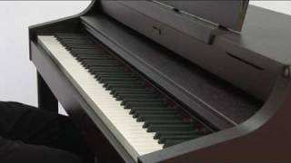 HP207 Digital Piano (1/5) Design