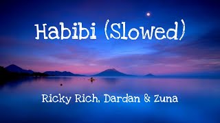 Habibi (Slowed+Reverb) Ricky Rich, Dardan & Zuna