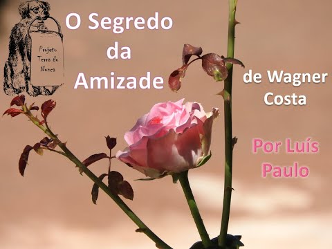 Livro: O Segredo da Amizade - de Wagner Costa - Por Luís Paulo