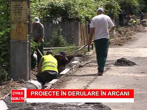 PROIECTE IN DERULARE IN ARCANI