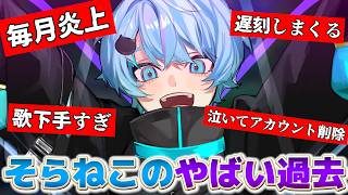 - 【暴露】ラメリィに未成年時代のそらねこについて聞いたらやばすぎたwww【そらねこ】【めろんぱーかー】【めろぱか】