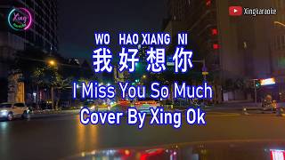 Download lagu 我好想妳 Wo Hao Xiang Ni | Mandarin Song Cover mp3 Download lagu 我好想妳 Wo Hao Xiang Ni | Mandarin Song Cover mp3