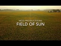 Field Of Sun