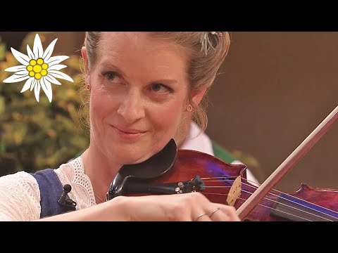 Music of the meadows: Live Austrian folk music