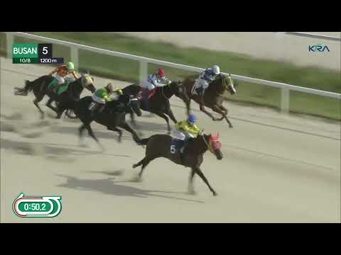 (Busan) 2023.10.08 R5 Class 4 (1200M) Handicap