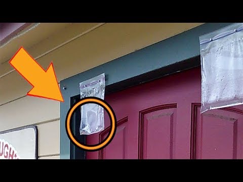download lagu mp3 mp4 Why Hang A Bag Of Water Over The Door, download lagu Why Hang A Bag Of Water Over The Door gratis, unduh video klip Why Hang A Bag Of Water Over The Door